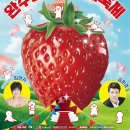 대야 터미널 사거리 (대야농협방향) | 제24회 완주삼례딸기대축제 일정·프로그램·셔틀버스·주차 딸기체험·EDM파티·전주 연계 여행