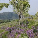 담티주유소 이미지