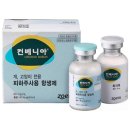 제주동물메디컬센터 네이버블로그