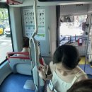 쓰리데이즈(유) | [🇪🇸] 바르셀로나에서는 끌라라, 레몬 환타를 참지 마세요