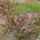 테크노폴리스중앙공원 이미지