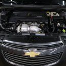 갤럭시크루즈 이미지