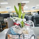 태백시청 이미지