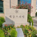 계룡마트 - 충주시 | 계룡마트