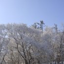 날마다좋은날 - 구미시 | 날마다좋은날