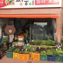 쌍둥이청과 이미지