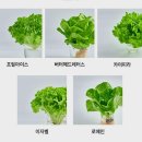 11215-구의3-공영주차장107 | 여의도 양 갈비 맛집 램브란트 여의도점 LUNCH 후기