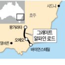 (주)알파인투어 이미지