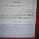 낙동강변6 이미지