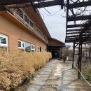 동이국수집 | 포천 ‘동이손만두’ - 고모리 만두전골 맛집, 카페 느낌 분위기 좋은 만두집