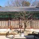 수양양산