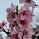 대지농장 이미지