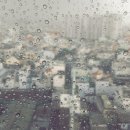 조례1길 이미지