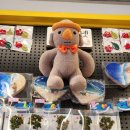 서귀동-33 | [겨울 제주 2박3일] Day1. 귤꽃다락 카페부터 올래시장 야시장까지