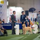 Jena house 이미지