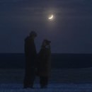 동명유치원 | 영화 파반느 결말 해석 및 원작 소설 비교 후기, 먹먹한 여운 넷플릭스