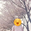 핍티식스