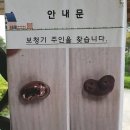 갤러리보청기