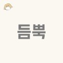 왕초보일본어 이미지