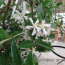 일부2리 이미지