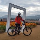 양주2동사무소 이미지