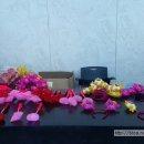 송대관, 태진아 효 콘서트 이미지