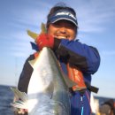 복사초등학교2 이미지