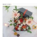 메르헨플라워
