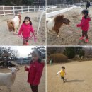 연서농장 이미지