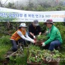 나무가 들려주는 환경이야기 이미지