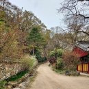 불국사를 말사로 둔 대찰이었고 창건 역사가 월인석보(1459)에 실려 있다 - 경주 기림사