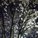 가고파밸리 이미지