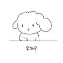 추자초등학교 이미지