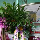 유드림마트표선점