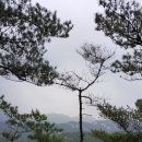 "북한산 치마바위 산행"＜2017.07.09(일)＞ 이미지