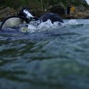 푸른축산 이미지