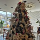 나운안1길 | 군산 라노 레스토랑 예약 웨이팅시간 파스타 스파게티