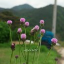 왕피천유역 생태탐방로(1코스) | 울진 왕피천 생태탐방로 2코스