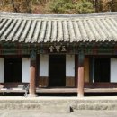 화순 월곡리 무환자나무 이미지