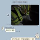 엠티MT수학교습소 | 여름은 아이스크림의 계절