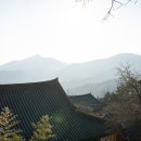 매화 제중한의원 네이버블로그