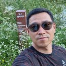 발안천 산책로 이미지