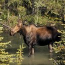 (주)야생 이미지