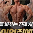 라이언짐 이미지