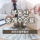 모두드림부동산중개 이미지