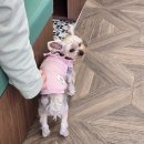 갤러리PC방 | 260412 언플러그드 라운지 소리공방 후기