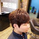 헤어도도(DODO) 이미지