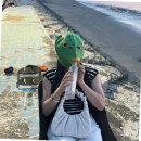 초록물고기