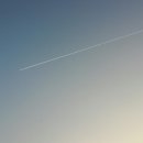 궁전약국 이미지