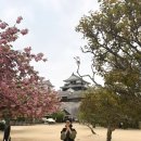 스타벅스 앞 교통섬 | 부산 출발 마쓰야마 여행 : 에어부산 후기 &amp; 공항 무료 셔틀버스 타는 곳(도고온천→공항)